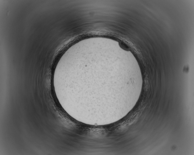 X0000099970446200806201405