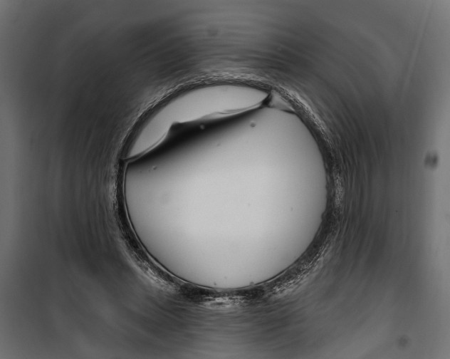 X0000099970447200806201406