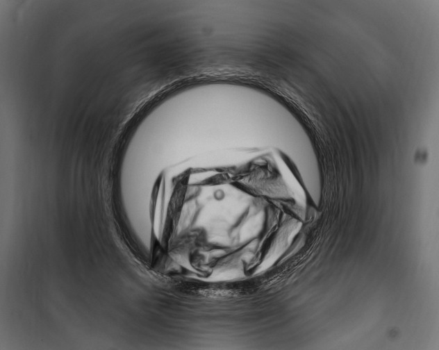 X0000099970448200806201406