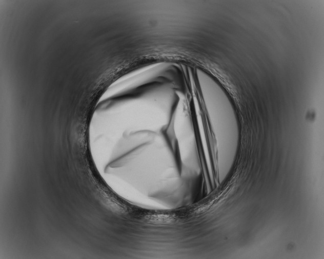 X0000099970449200806201406