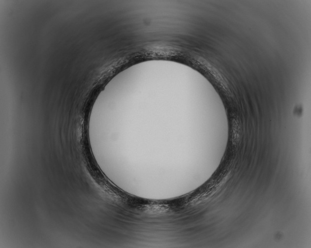 X0000099970451200806201406