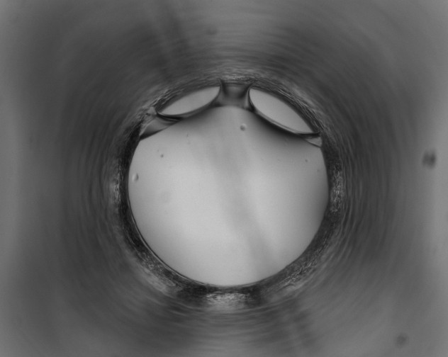 X0000099970452200806201406