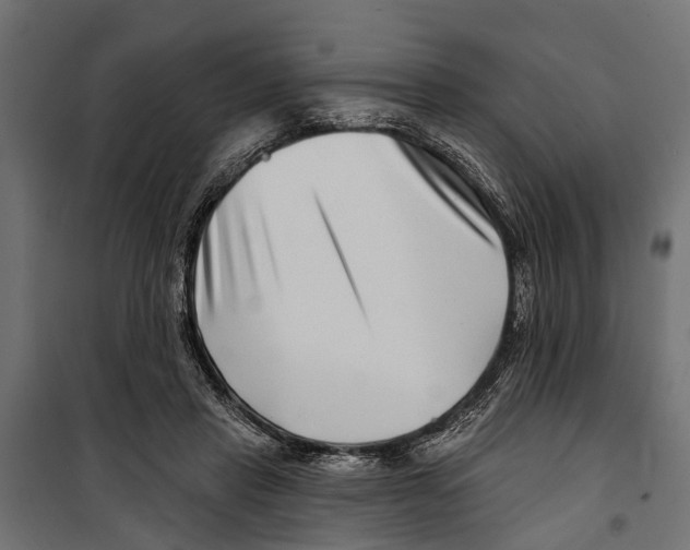 X0000099970453200806201406