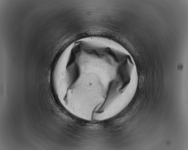 X0000099970454200806201406