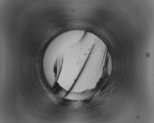 X0000099970456200806201406