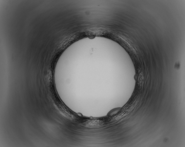 X0000099970459200806201406