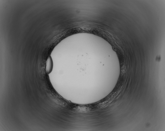 X0000099970464200806201406