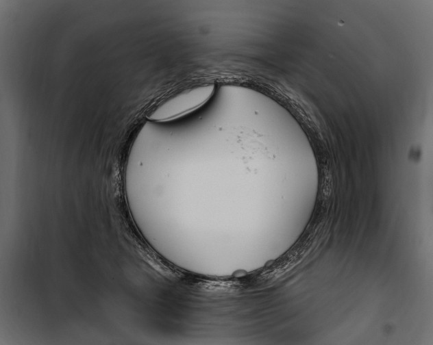 X0000099970465200806201406