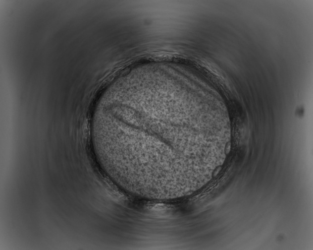 X0000099970467200806201406