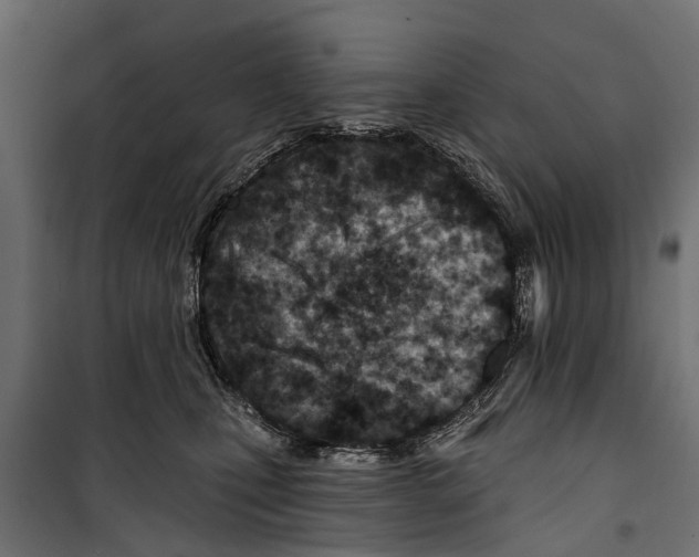 X0000099970471200806201406