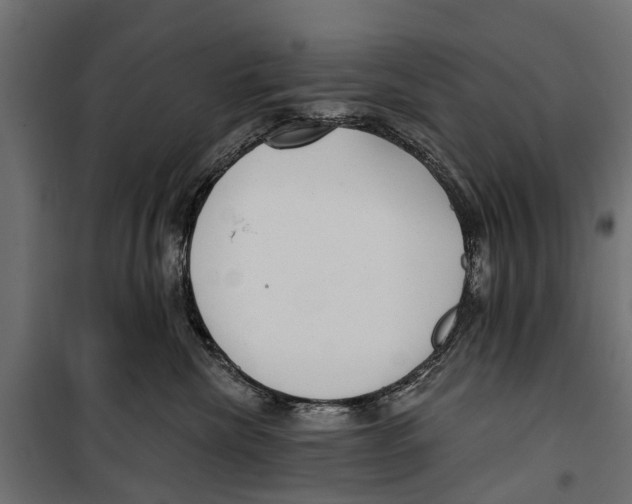 X0000099970476200806201406