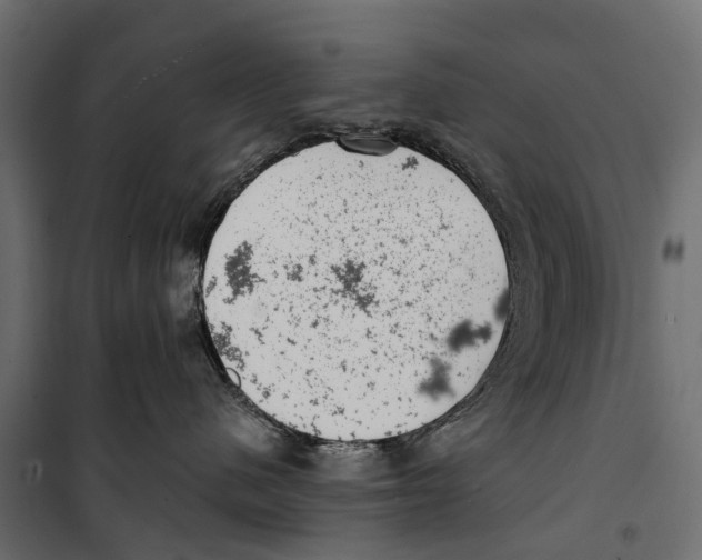 X0000099970480200806201406