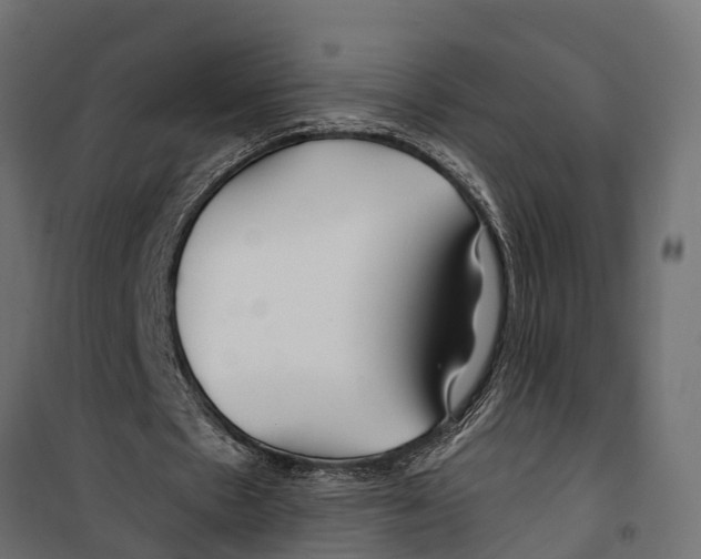 X0000099970481200806201405