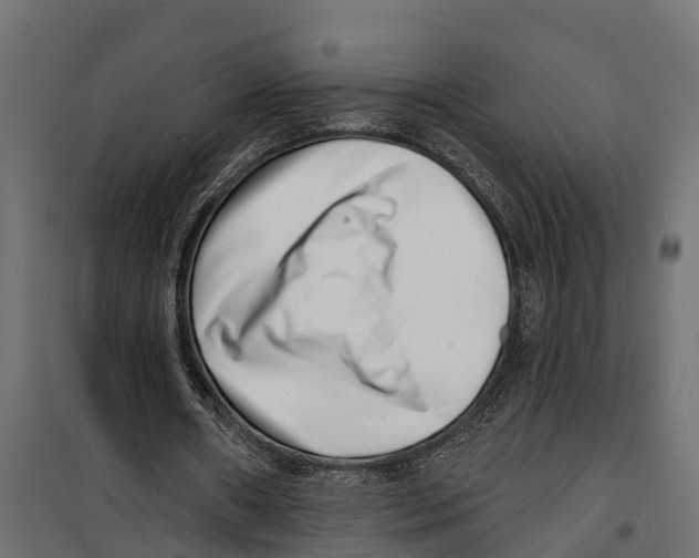 X0000099970482200806201405