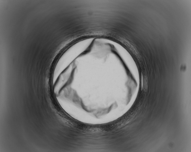 X0000099970483200806201405