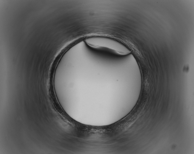 X0000099970484200806201405