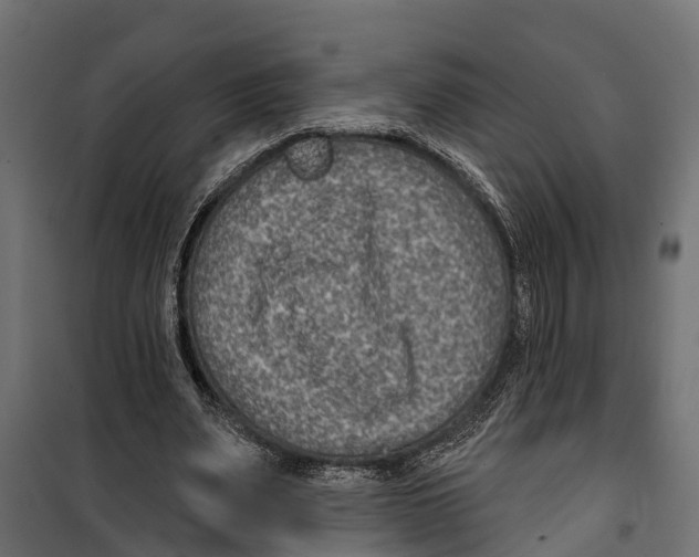 X0000099970487200806201405