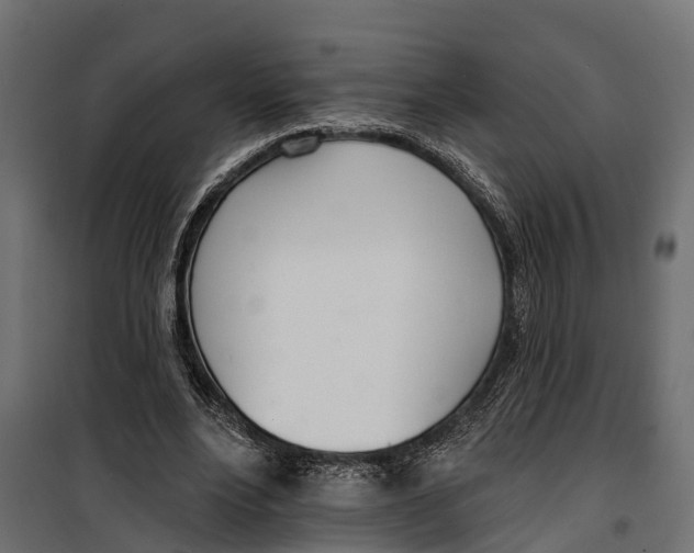 X0000099970488200806201405