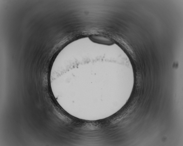 X0000099970489200806201405