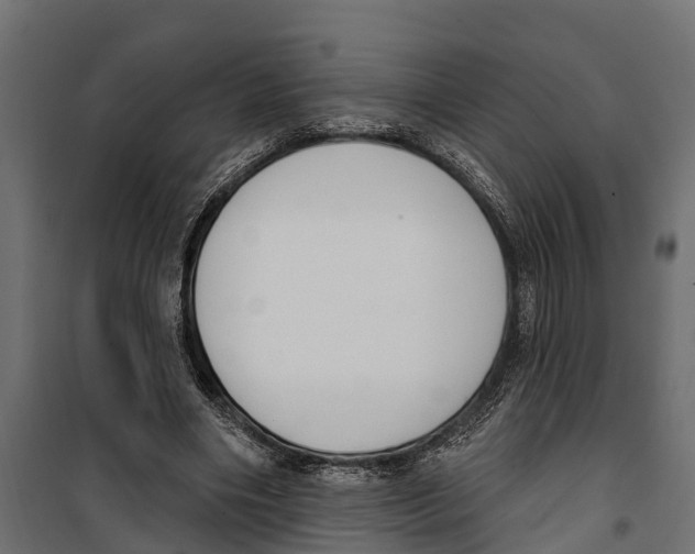 X0000099970490200806201405