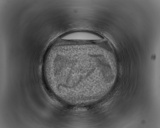 X0000099970491200806201405