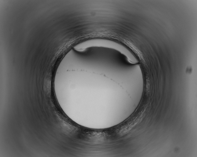 X0000099970493200806201405