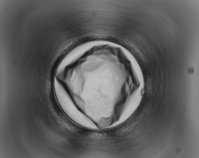 X0000099970494200806201405