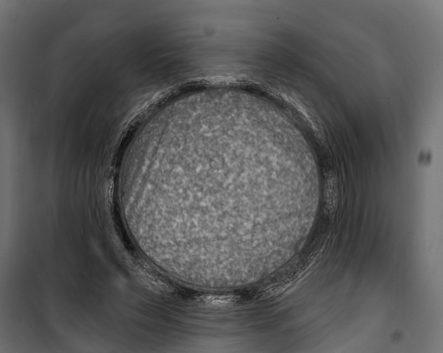 X0000099970495200806201405