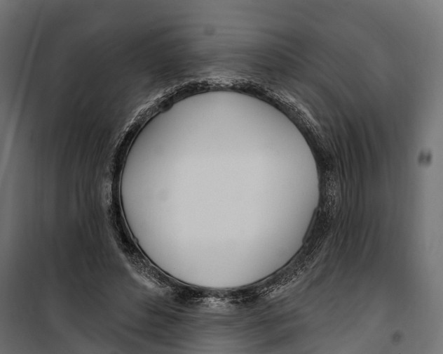 X0000099970496200806201405