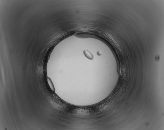 X0000099970500200806201405