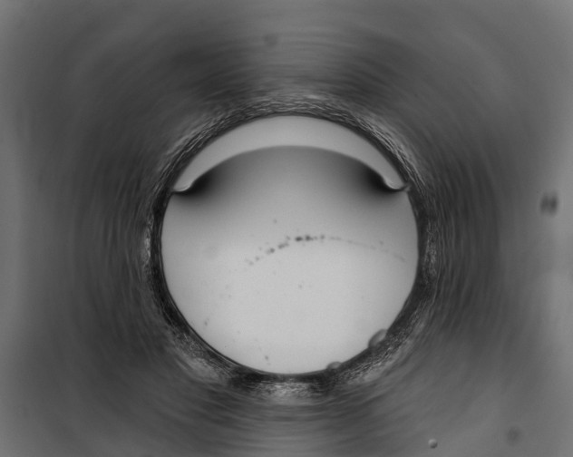 X0000099970501200806201405