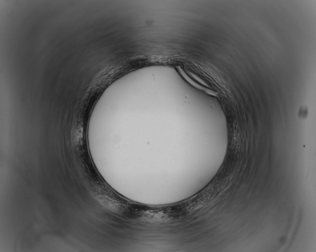 X0000099970502200806201405