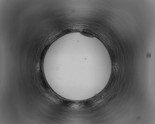 X0000099970504200806201405