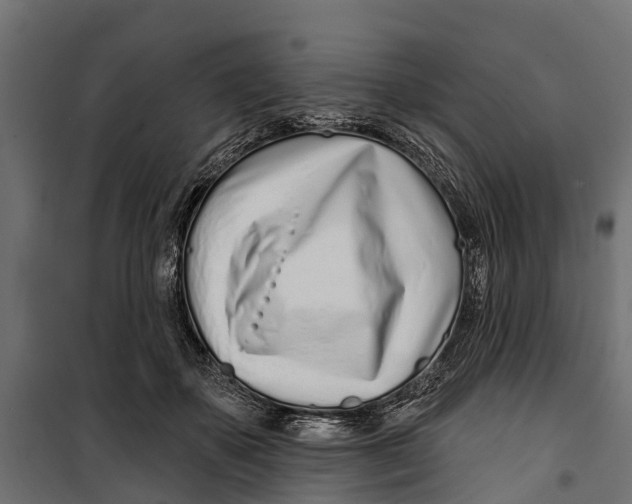 X0000099970507200806201405