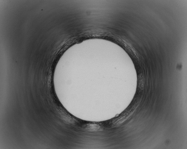 X0000099970509200806201405