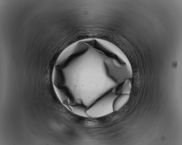 X0000099970510200806201405