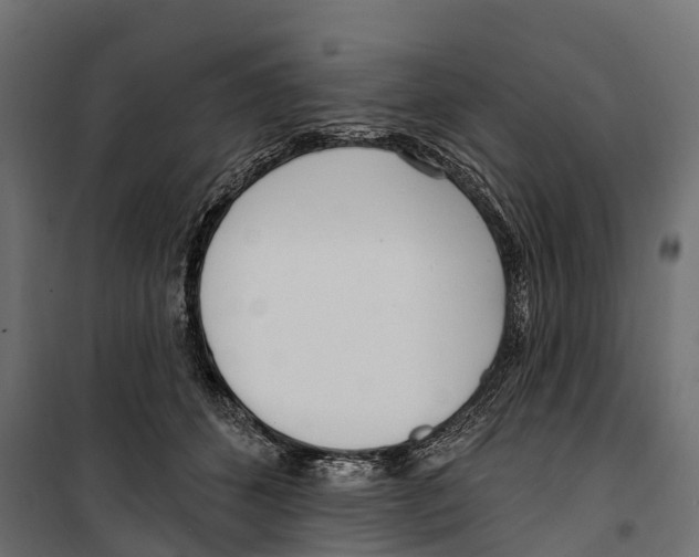 X0000099970512200806201405