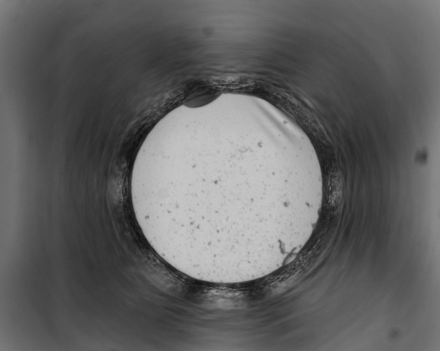 X0000099970515200806201405