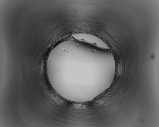 X0000099970520200806201405