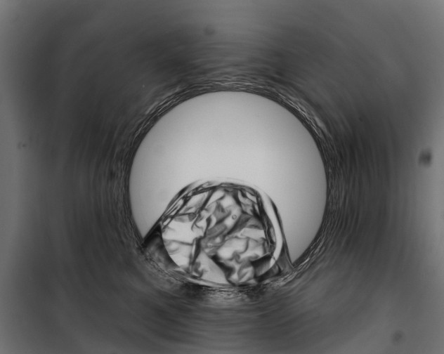 X0000099970521200806201405