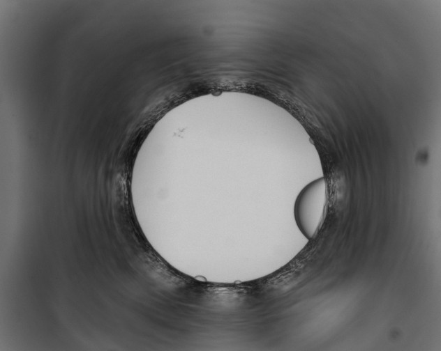 X0000099970522200806201405