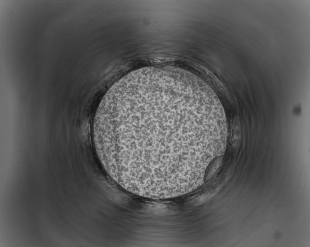 X0000099970523200806201405