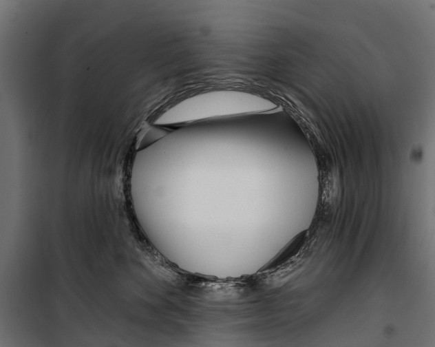 X0000099970524200806201405