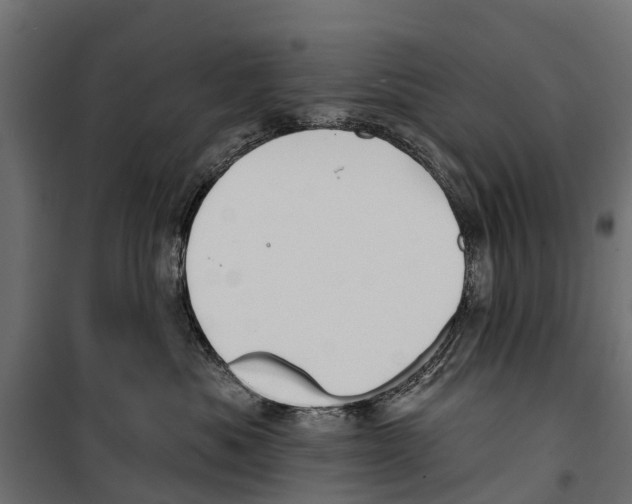 X0000099970525200806201405