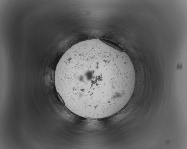 X0000099970528200806201405