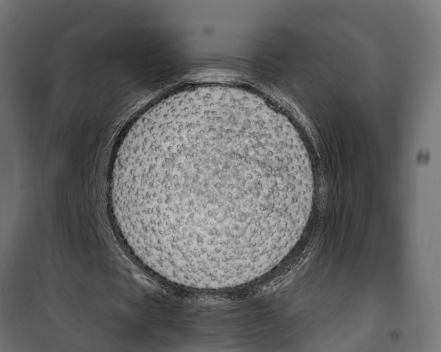 X0000099970529200806201404