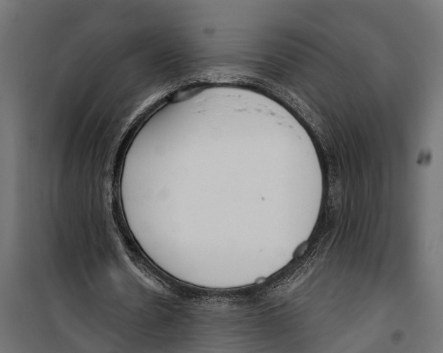 X0000099970530200806201404