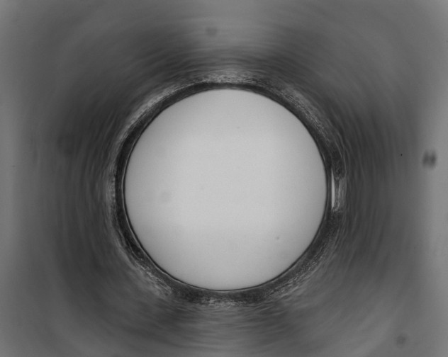 X0000099970531200806201404