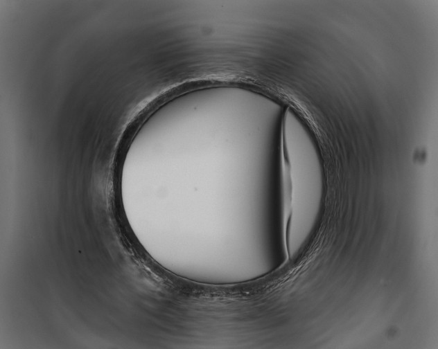 X0000099970532200806201404