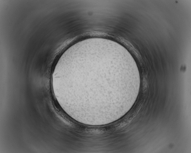 X0000099970533200806201404